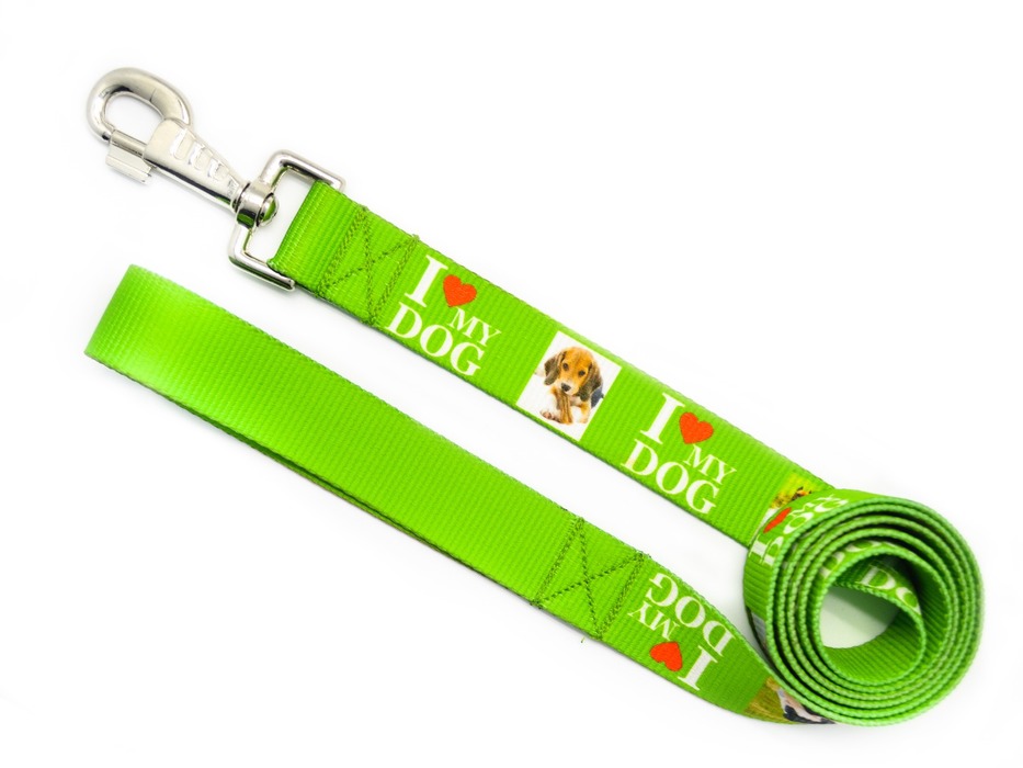 Leashes for dogs